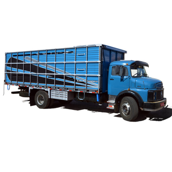 Transporte Teso